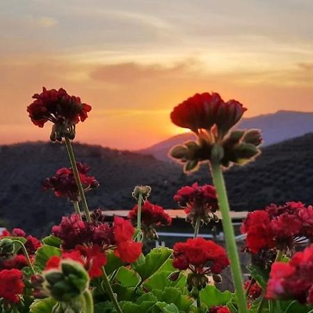 Fuentes de Cesna Cortijo Chaparro Near Iznajarヴィラ エクステリア 写真